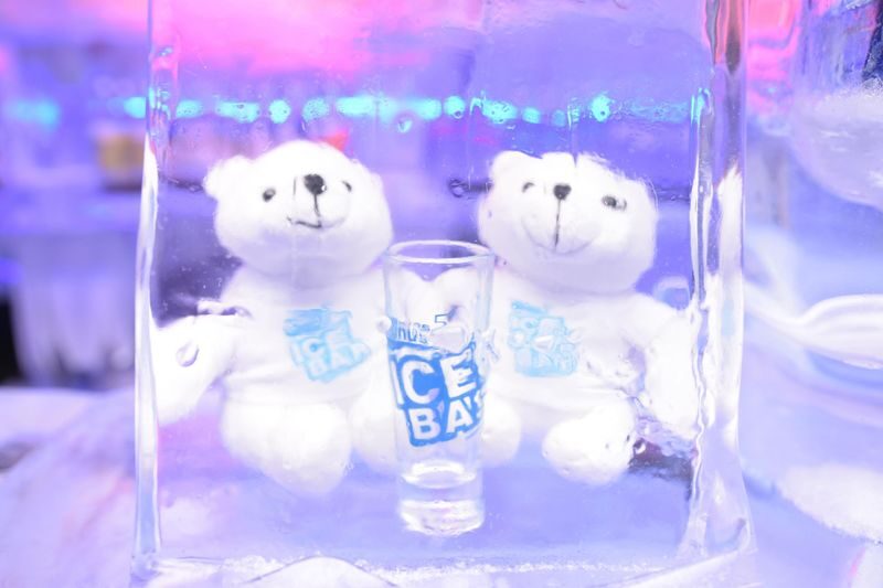 Minus 5 Ice Bar Antarctic Experience - Who will enjoy Minus 5º Ice Bar?