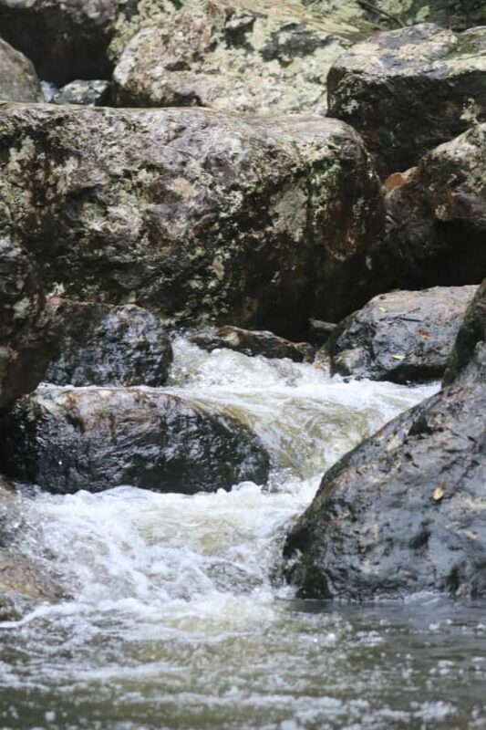 Minyon Waterfall Rainforest Tour - Good To Know