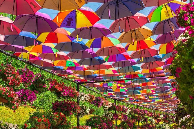 Miracle Garden Dubai - What To Expect