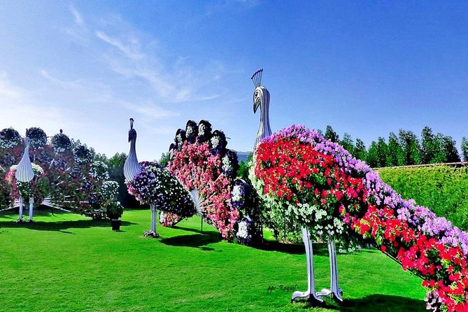 Miracle Garden: Dubai Flora and Fauna 4-Hour Tour - Dubai Mall Stop