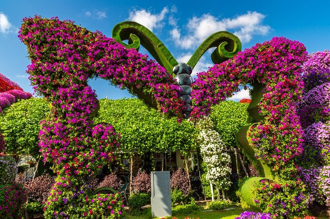 Miracle Garden Dubai Tour With Pickup and Drop off From Abu Dhabi - Tour Highlights