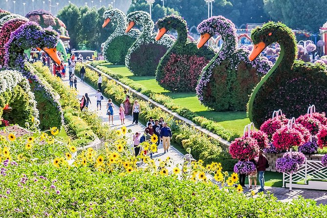 Miracle Garden With Transfers From Abu Dhabi - Exploring the Vast Miracle Gardens