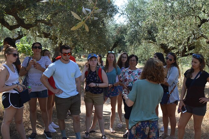 Miraculous Olive Oil Tasting Experience 5-Hour Tour - Meeting Instructions