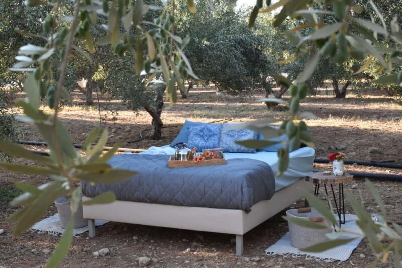 Mires: Cooking Class & Stargazing with Luxury Outdoor Sleep - Good To Know