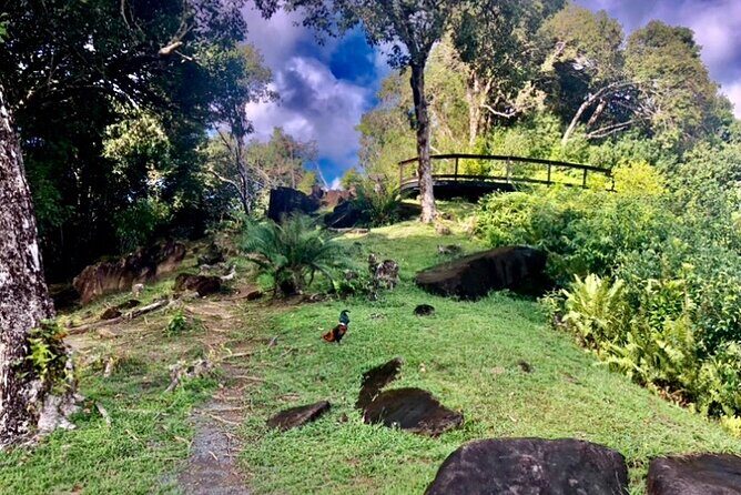 Mirimiri Tours - Good To Know