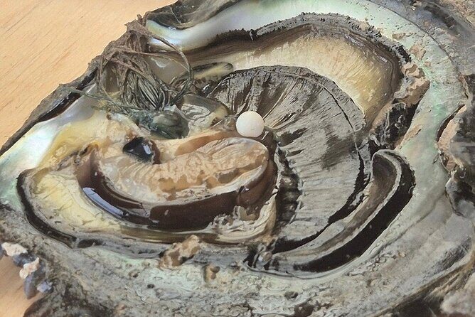 Mirimiri Tours - Final Thoughts