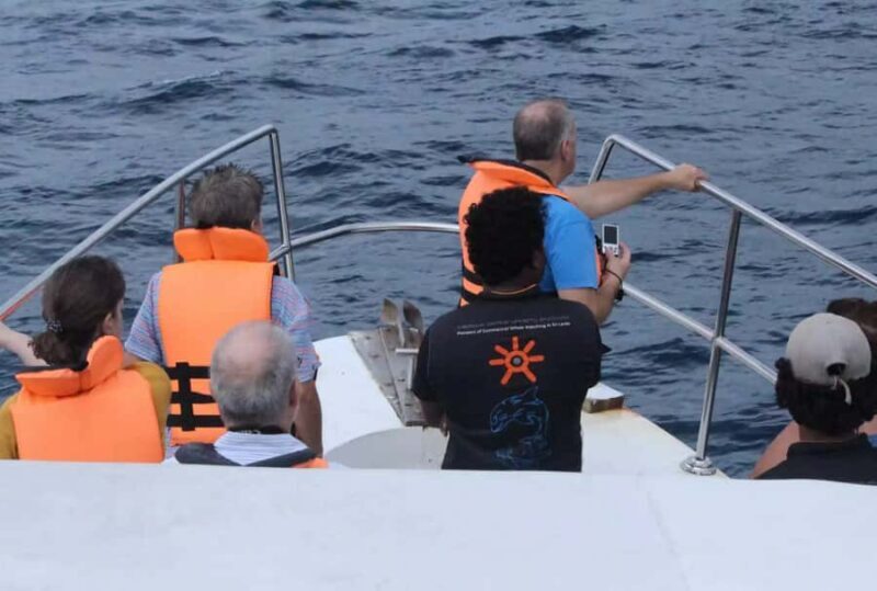 Mirissa: All Inclusive Whale Watching + Jet Ski Ride - The Value of This Tour