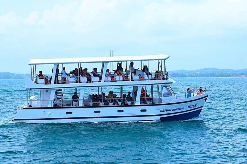 Mirissa: Blue Whale Watching & Turtle Snorkeling Combo Tour - Who Is This Tour Best For?