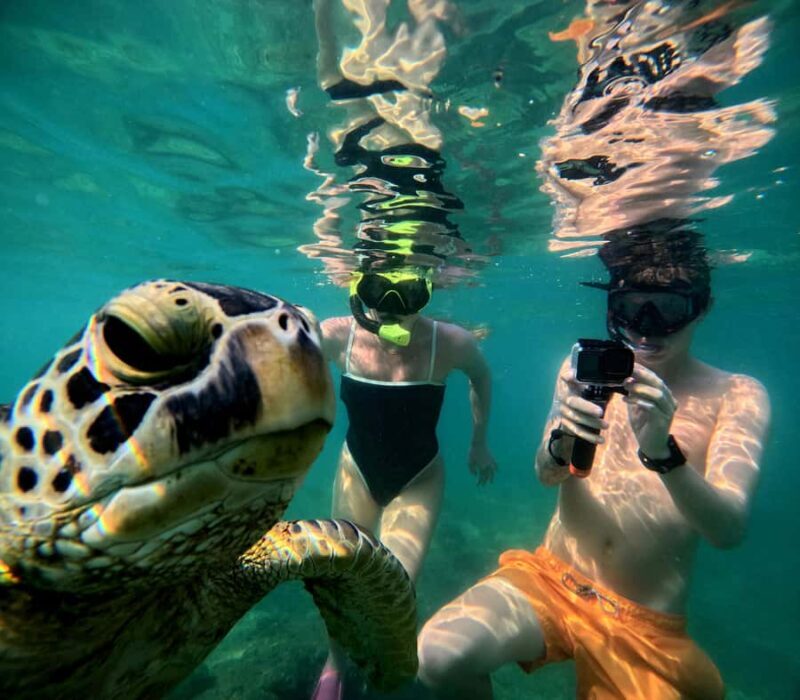 Mirissa: Coral Coast Divers Snorkeling Tour with Turtles - Authentic Insights from Reviews