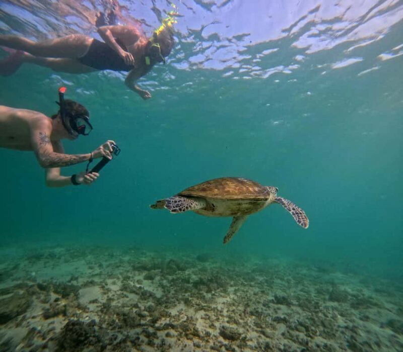 Mirissa: Coral Coast Divers Snorkeling Tour with Turtles - Final Words