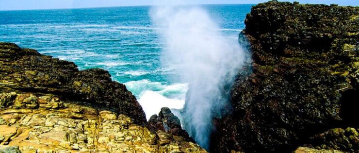Mirissa Creature: Beach Break - Pricing and Cancellation Policy