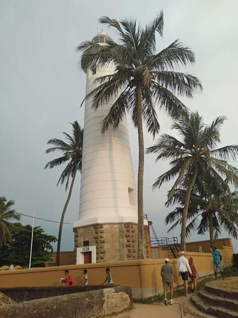 Mirissa Creature: Beach Break - Beach and Natural Attractions