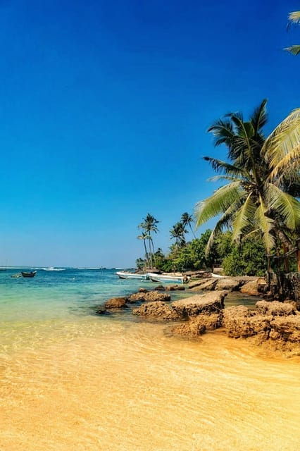 Mirissa Creature: Beach Break - Included Services and Amenities