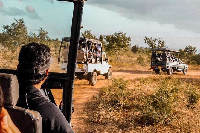 Mirissa , Galle , Bentota to Udawalawe National Park Day Tour - The Sum Up