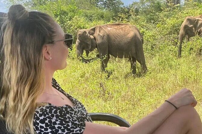 Mirissa , Galle , Bentota to Udawalawe National Park Day Tour - FAQs