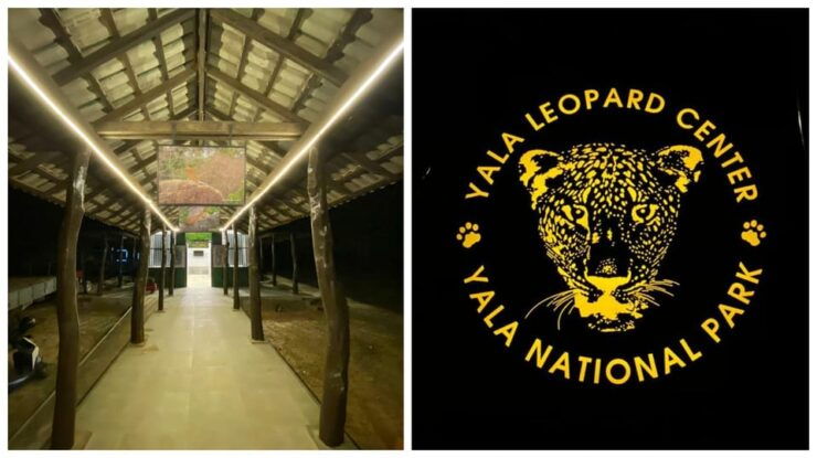 Mirissa/Galle: Transfer to Ella & YALA & UDAWALAWA Safaris - Experience Highlights