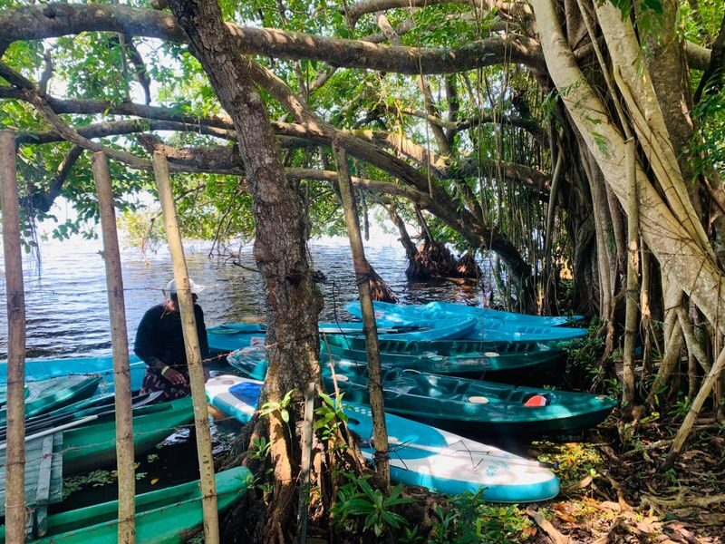 Mirissa: Guided Mangrove Kayaking Adventure & River Safari - Paddling the mangrove channels