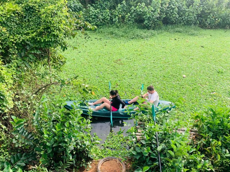 Mirissa: Guided Mangrove Kayaking Adventure & River Safari - Snacks and a gentle finish