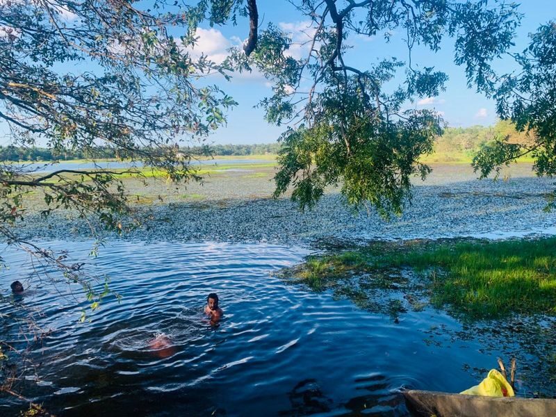 Mirissa: Guided Mangrove Kayaking Adventure & River Safari - How much time to set aside