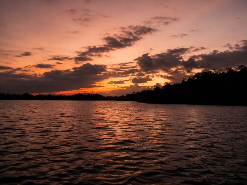 Mirissa: Guided Mangrove Kayaking Adventure & River Safari - Is the price fair?