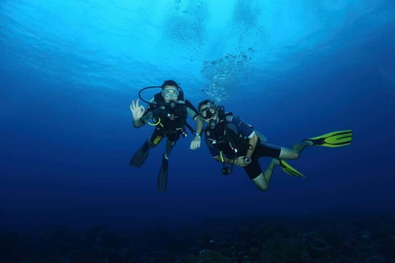 Mirissa : Guided Scuba Diving Experience with Coral - An In-Depth Look at the Mirissa Scuba Tour