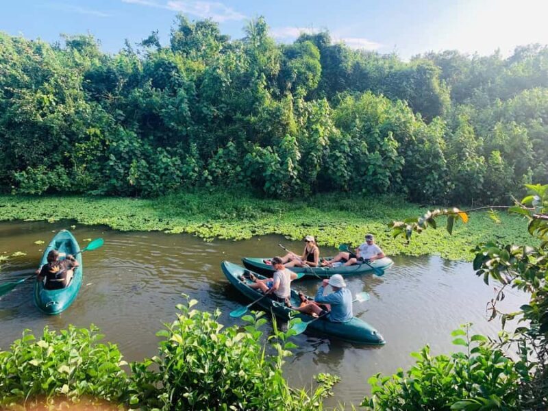 Mirissa: Kayak Safari Adventure Through Mangrove - Who Will Love This Tour?