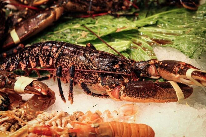 Mirissa: Lobster + Cocktail by the Beach! - Pricing Information