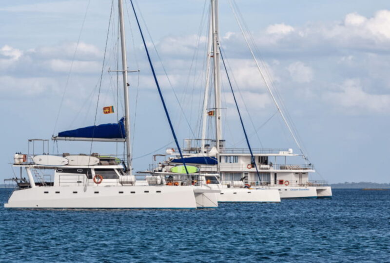 Mirissa: Luxury Sailing Boat Dolphin and Whale Watching - What to Expect on Your Day Out in Mirissa