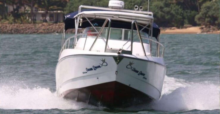 Mirissa: Ocean Elegance: Exclusive Whales & Dolphins Cruise - Experience