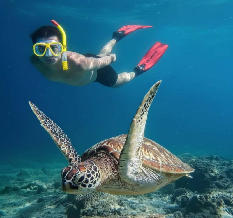 Mirissa: Ocean Magic Snorkeling with Turtles - Who Should Consider This Tour?
