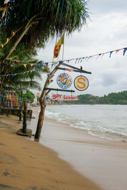 Mirissa or kalpitiya surf camp tour for beginners & experts - Good To Know