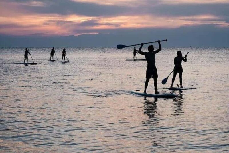 Mirissa: Paddle Boarding Experience - Good To Know