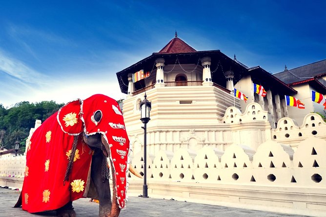 Mirissa Private Driver: 5-Day Sri Lanka Highlights With Wi-Fi  - Galle - Questions and Terms