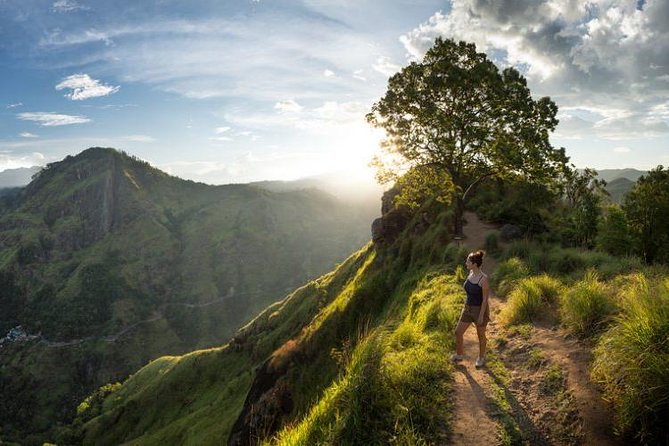 Mirissa Private Driver: 5-Day Sri Lanka Highlights With Wi-Fi  - Galle - Common Questions