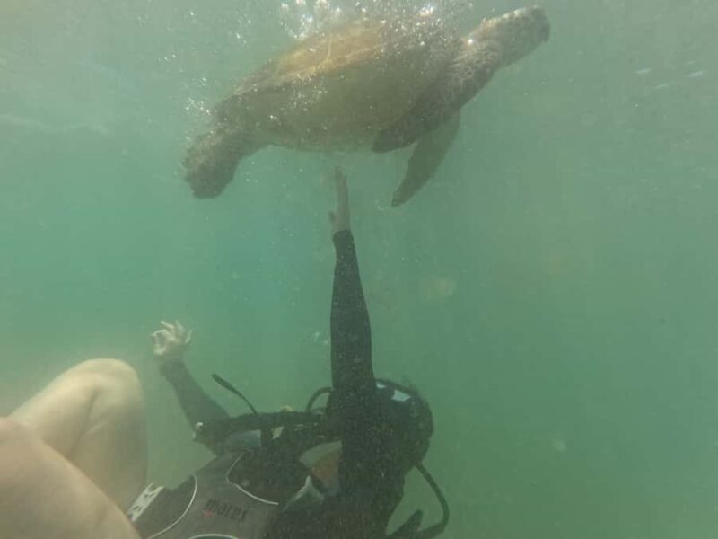 Mirissa: Scuba Diving Experience & Refreshments for Beginner - Authentic Insights from Reviewers