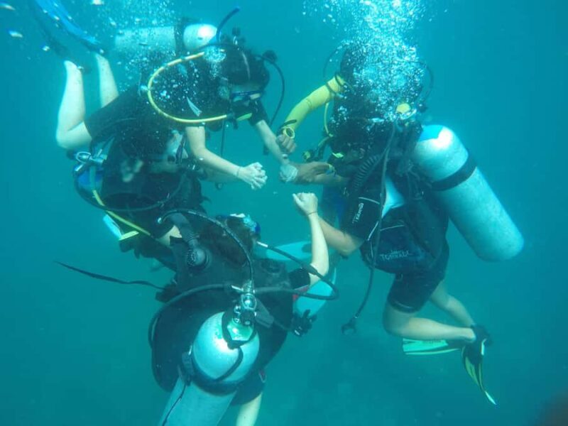 Mirissa: Scuba Diving & Shipwreck Dives for All Levels - FAQ