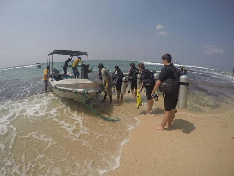 Mirissa: Scuba Diving & Shipwreck Dives for All Levels - Good To Know