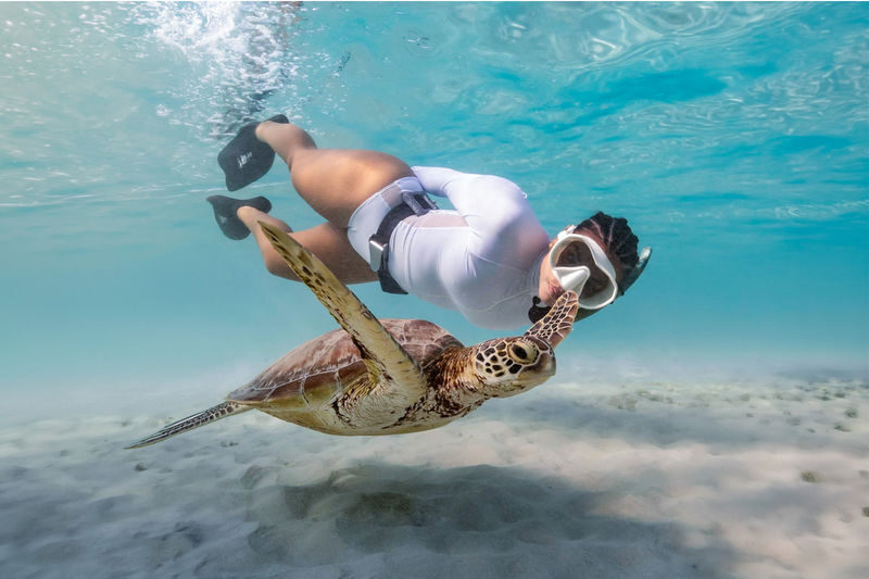 Mirissa Snorkeling: Private Sea Turtle Tour (Beginners Safe) - At a glance