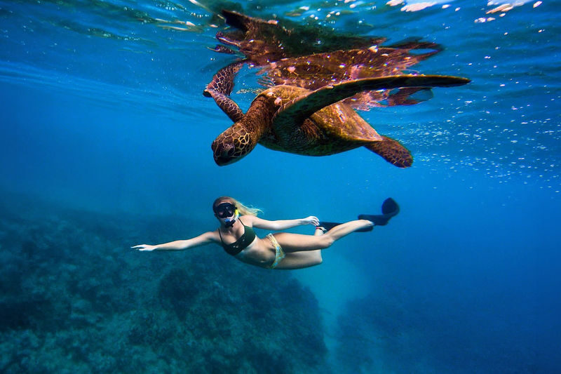 Mirissa Snorkeling: Private Sea Turtle Tour (Beginners Safe) - Timing, sea conditions and the duration question