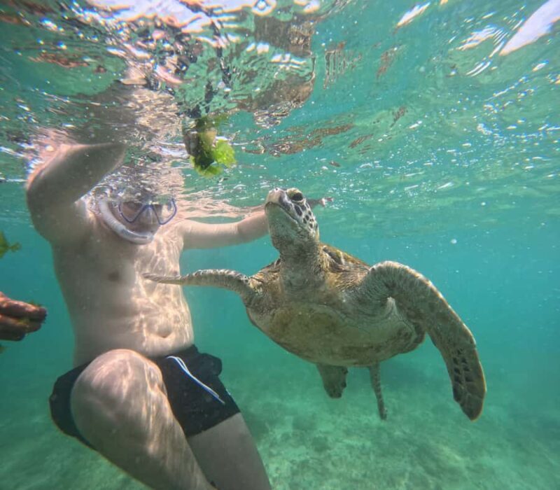 Mirissa Snorkeling Tour with Turtle Adventure and Free Video - Good To Know