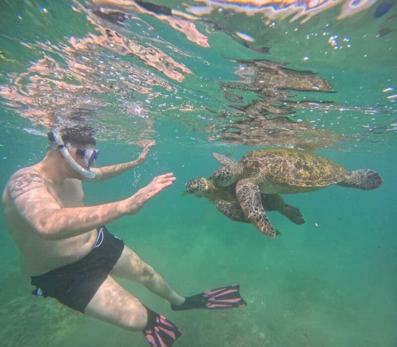 Mirissa Snorkeling Tour with Turtle Adventure and Free Video - What to Expect on the Tour