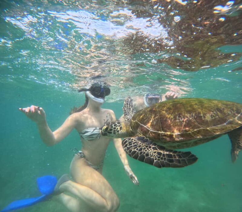Mirissa Snorkeling Tour with Turtle Adventure and Free Video - Authentic Experiences & Genuine Feedback