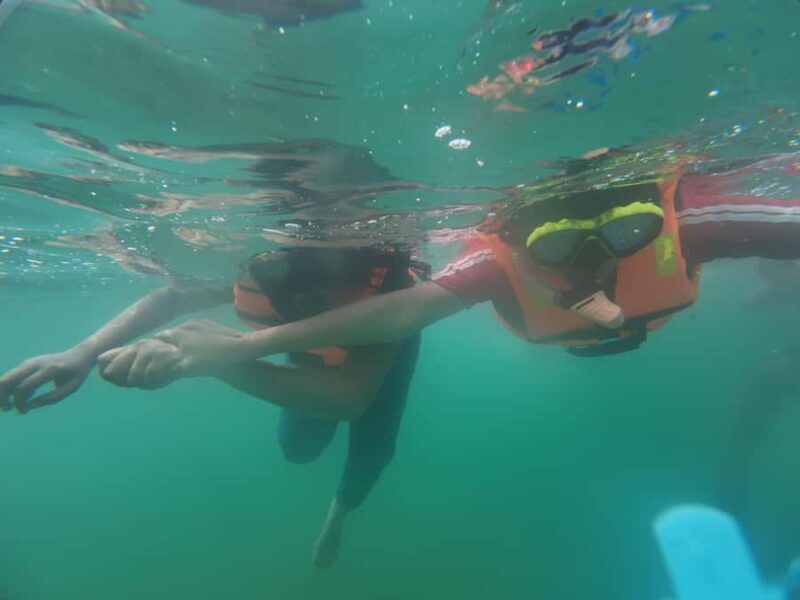 Mirissa Snorkeling Trip with Sea Turtles & Coral Reef - What Makes This Snorkeling Tour Stand Out?