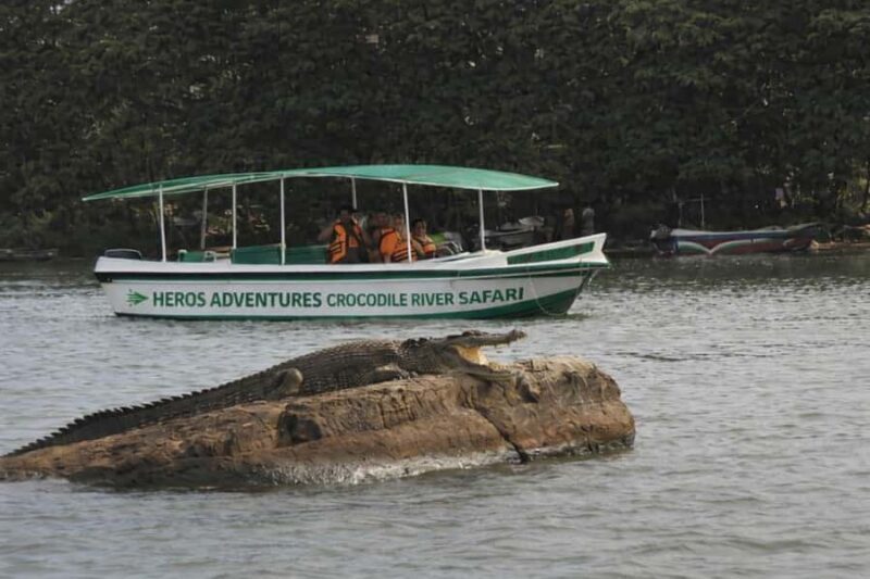 Mirissa to Matara Crocodile Watching Nilwala Boat Tours - Introduction to the Crocodile Watching Experience
