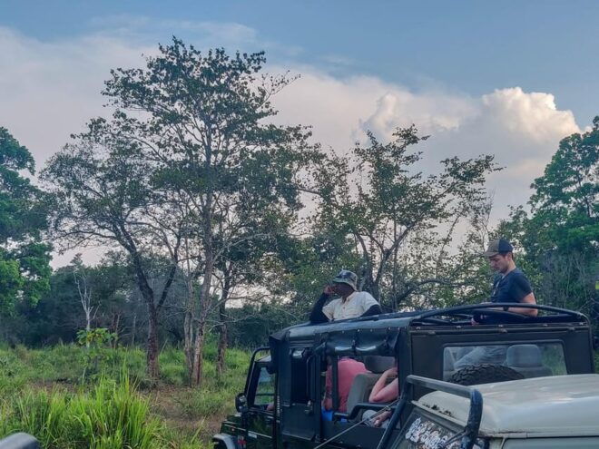 Mirissa: Udawalawe National Park Safari With Hotel Pickup - Wildlife You Might See