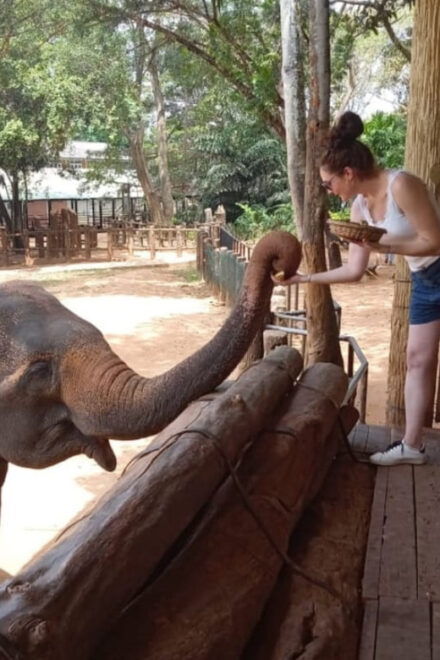 Mirissa: Udawalawe & YALA Safaris + Lunch, Drop Off: Ella - Safari Experience Highlights