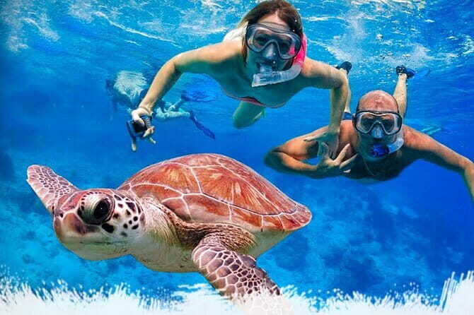 Mirissa Unforgettable Snorkeling Experience with Turtles - Mirissa Unforgettable Snorkeling Experience with Turtles — A Complete Review