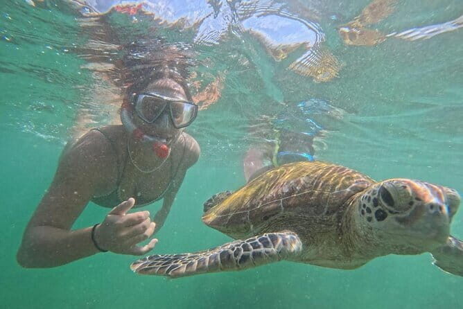 Mirissa Unforgettable Snorkeling Experience with Turtles - Authentic Experiences from the Reviews