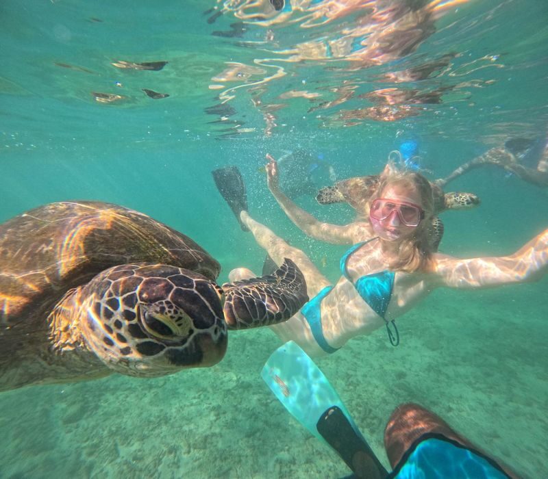 Mirissa Unforgettable Snorkeling Experience with Turtles - What the Mirissa turtle outing is really like