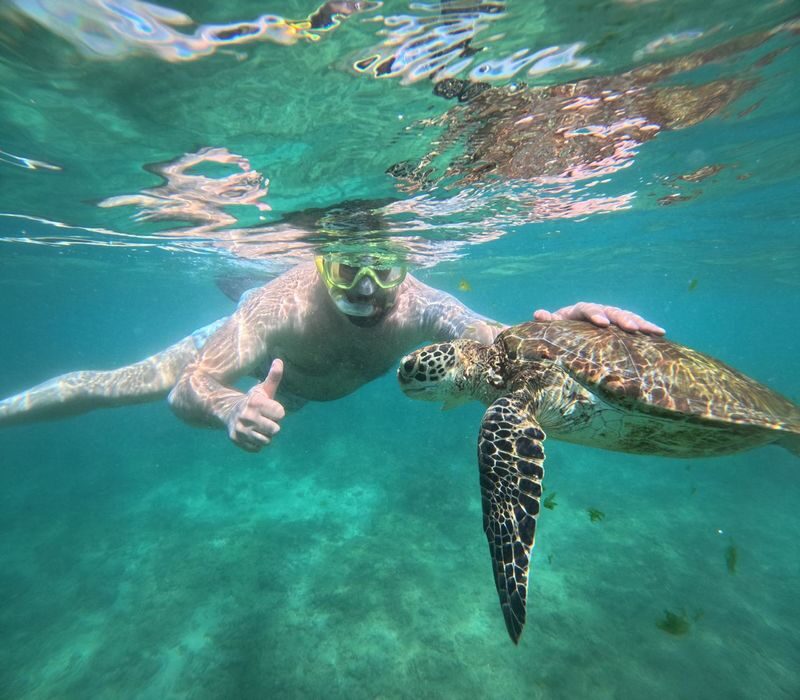 Mirissa Unforgettable Snorkeling Experience with Turtles - Gear, guides and the small comforts